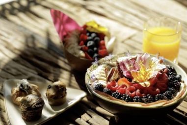 Fan van vegan food of plantaardige keuken? Wij zetten de mooiste hotels en retreats op een rij waar gezond eten en ontspanning samenkomen.