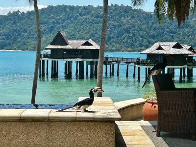 Image for Handige tips