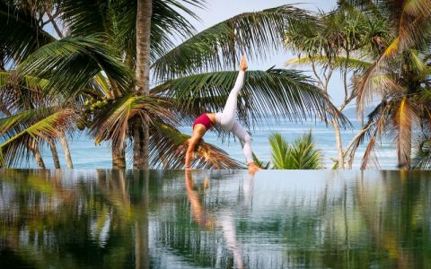 Image for Underneath The Mango Tree, Sri Lanka