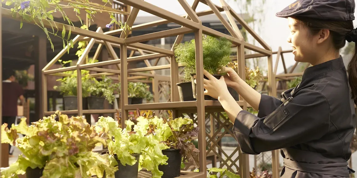 vrouw plukt kruiden in kruidentuin