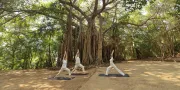 Yoga | SwaSwara Yoga | SwaSwara