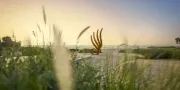 Uitzicht | Zulal Wellness Resort