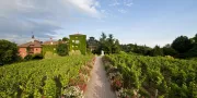 Hotel Overview | L'Albereta Relais & Chateaux
