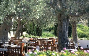 Anassa