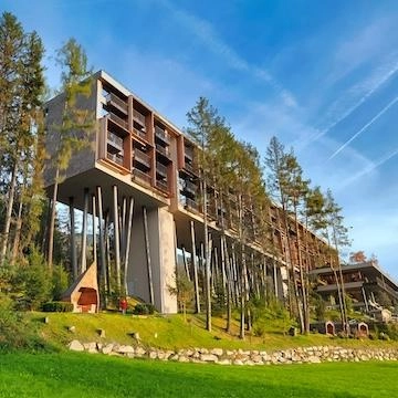 boomhut hotel tussen de bomen en blauwe lucht