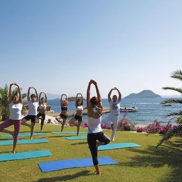 groep mensen in yoga houding bij de zee