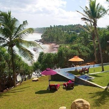 Underneath the Mango Tree | Sri Lanka