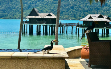 Review: Marleen in Pangkor Laut
